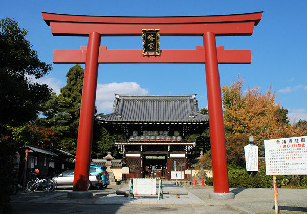�����炩�炨���艺����